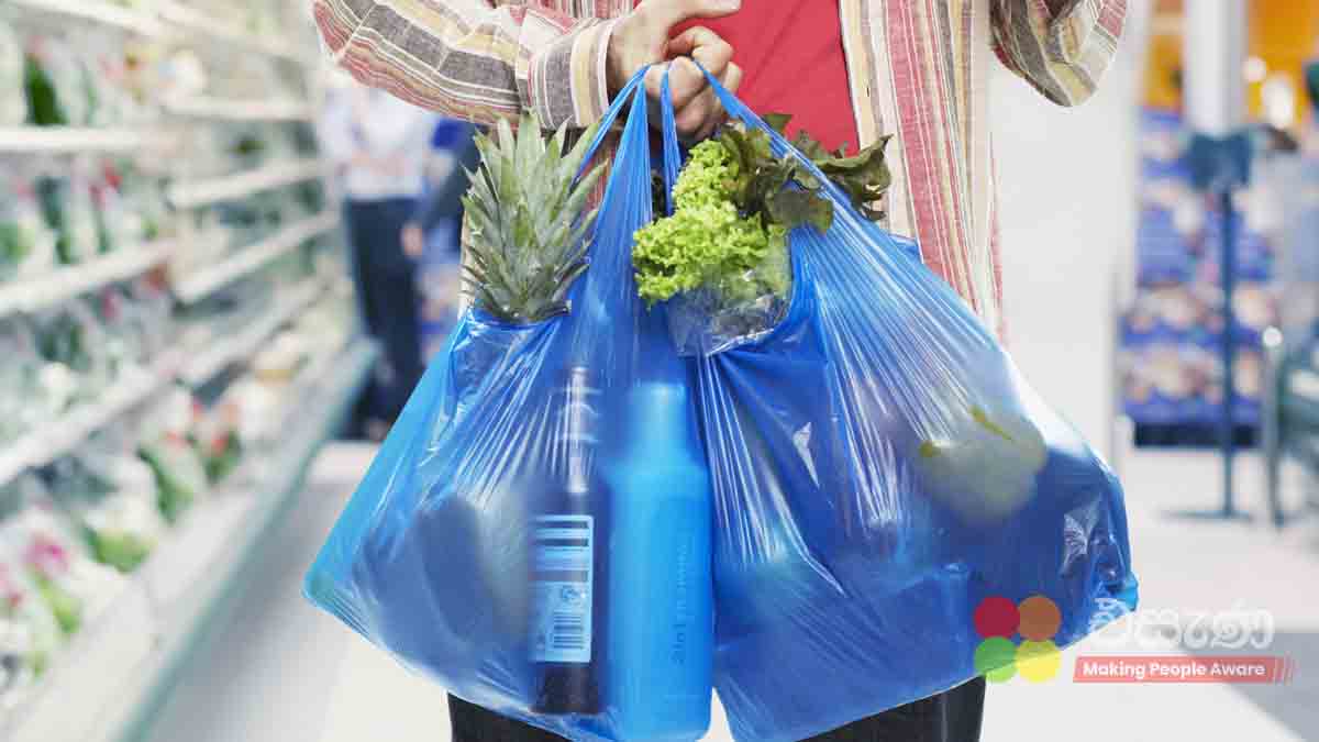grocerybag.jpg